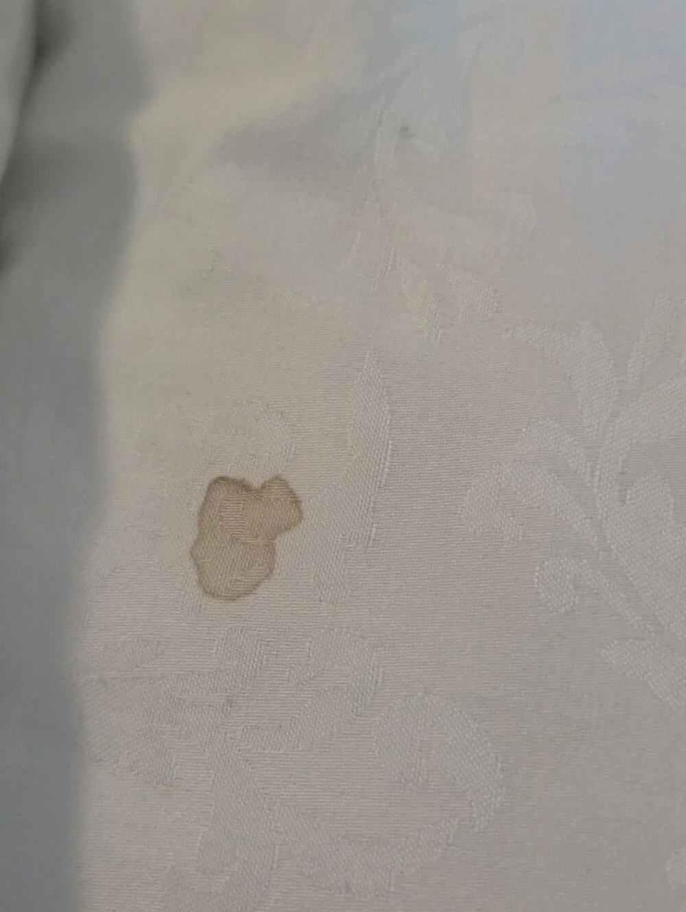 Martha Stewart White/Light Blue Down Alternative Pillow Pair